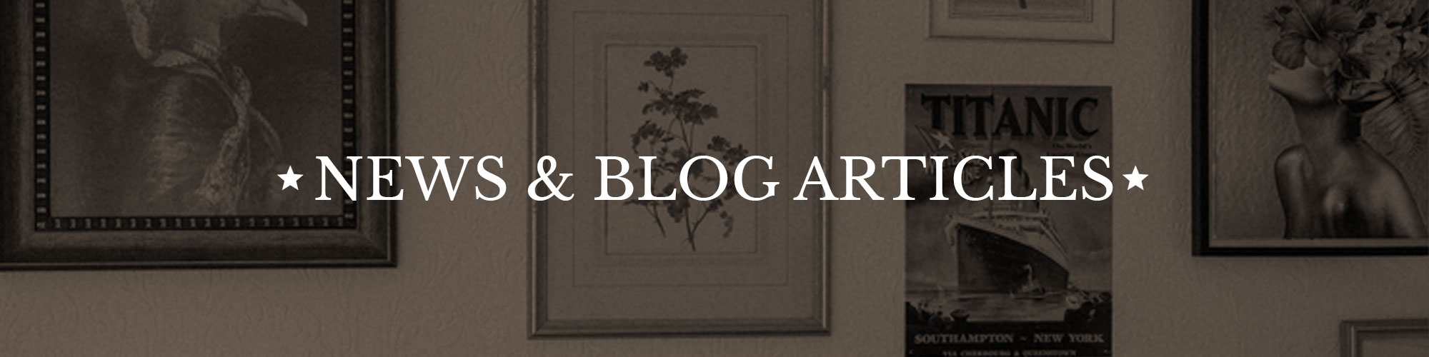 Beach Lawn House Blog and News Articles Feature Header Image